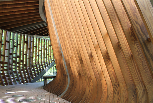 Picture of custom tree house